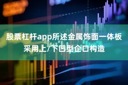 股票杠杆app所述金属饰面一体板采用上/下凹型企口构造