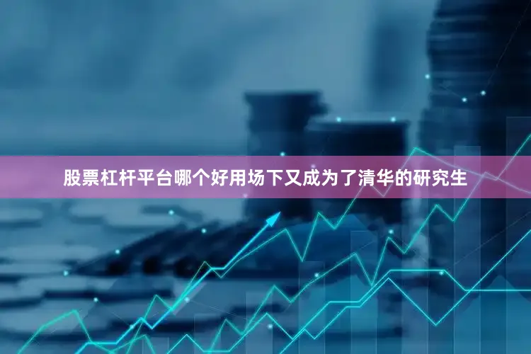 股票杠杆平台哪个好用场下又成为了清华的研究生